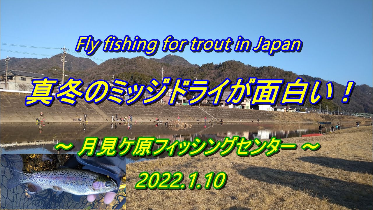真冬もドライが面白い! ライズ頻発の 管理釣り場 で フライフィッシング \( 'ω')/ 【 Fly fishing 月見ケ原フィッシングセンター 岐阜県 長良川 】