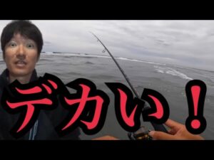 GWの遠州灘サーフへ釣りに行ったらデカいのボコボコだった🔥