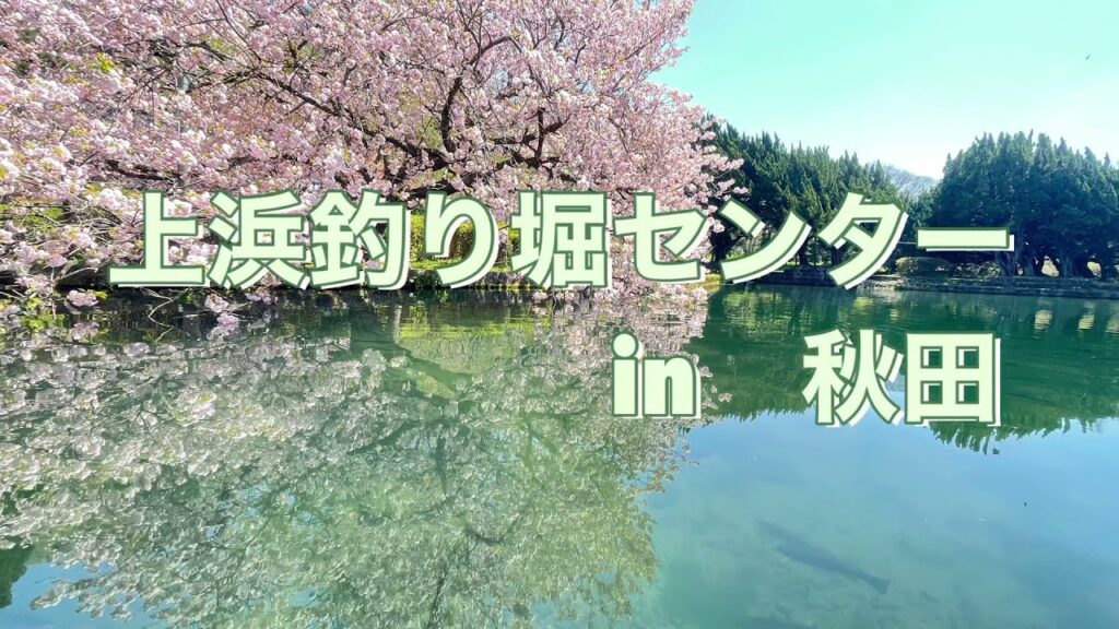 管理釣り場でニジマスと戯れる、ちょっと遅めで静かなGW。#上浜釣り堀センター　#管理釣り場　#ニジマス