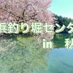 管理釣り場でニジマスと戯れる、ちょっと遅めで静かなGW。#上浜釣り堀センター　#管理釣り場　#ニジマス