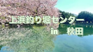 管理釣り場でニジマスと戯れる、ちょっと遅めで静かなGW。#上浜釣り堀センター #管理釣り場 #ニジマス