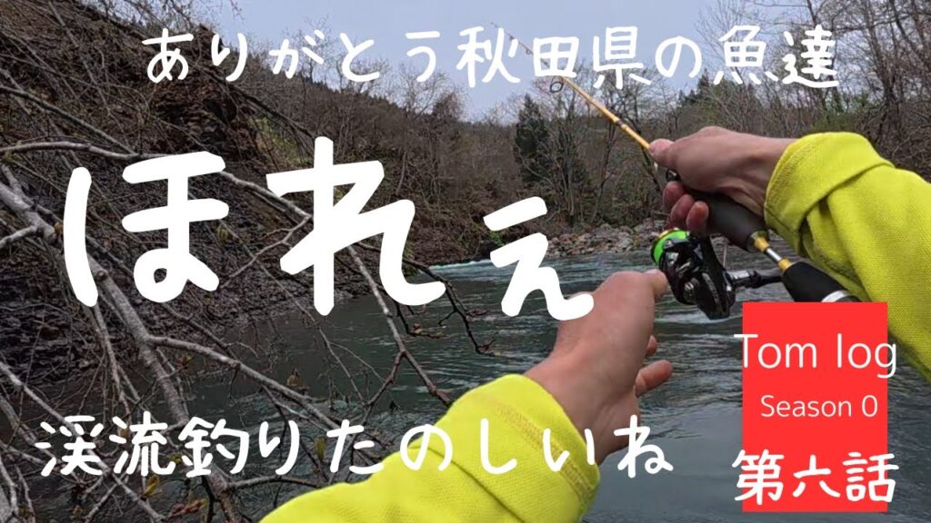 【渓流釣り】飛び交う虫をもろともせず支流を突き進め！そして米代川の夕まずめ、狙うはもちろんサクラマス。。果たして釣れるのか？GW秋田県のお魚さんたち遊んでくれてありがとうございました。