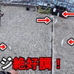 【神奈川県某所】春の東京湾の海釣り公園で狙ってないのにアジ爆釣！？大型連休(GW)明けの時期に、関東地方の三浦半島の東京湾側の釣り場で、トリックサビキで釣りしてみたら…！【2025年5月上旬】