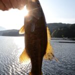 美人な釣りガールが…♡野尻湖バス釣り玉玉投げてI字が玉乱