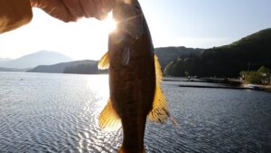 美人な釣りガールが…♡野尻湖バス釣り玉玉投げてI字が玉乱