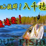 【エリアトラウト】大物しかいない最高の釣り場！八千穂レイク！Monster TROUT fishing