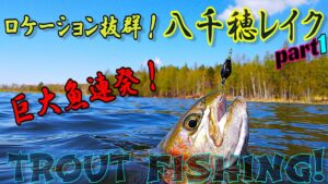 【エリアトラウト】大物しかいない最高の釣り場！八千穂レイク！Monster TROUT fishing
