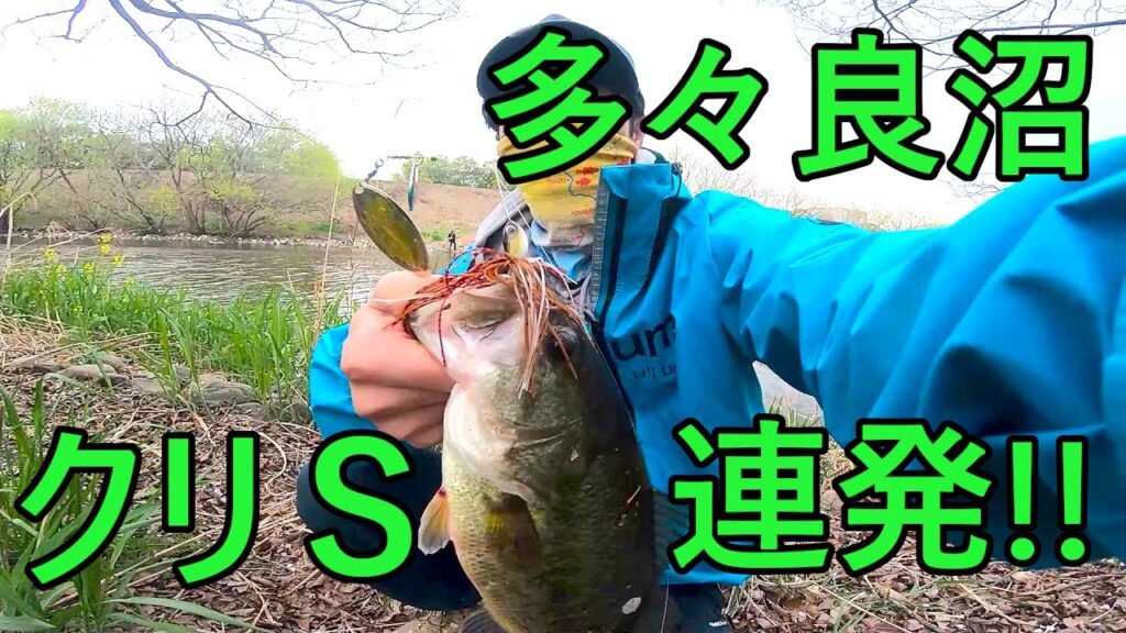 【多々良沼】タタランバスを狙え！【クリスタルS】