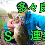 【多々良沼】タタランバスを狙え！【クリスタルS】