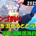 【静岡県浜名湖新居海釣り公園】でダンゴ・サビキ釣り　[Shizuoka Prefecture Arai Sea Fishing Park] Dango and Sabiki fishing