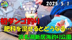 【静岡県浜名湖新居海釣り公園】でダンゴ・サビキ釣り　[Shizuoka Prefecture Arai Sea Fishing Park] Dango and Sabiki fishing