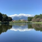 T沼ダイジェスト集