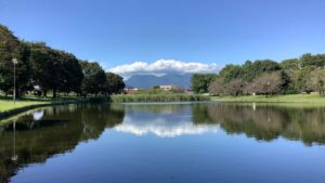 T沼ダイジェスト集