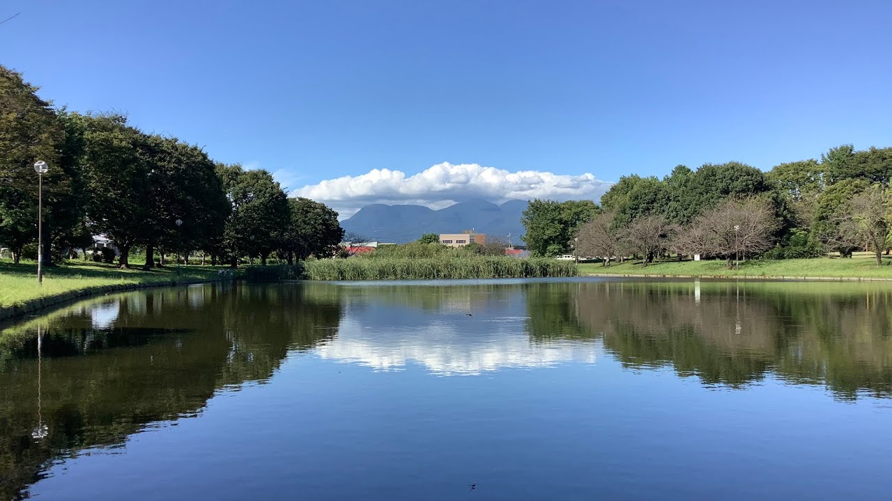 T沼ダイジェスト集