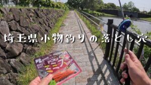 【埼玉小物釣り】公園ルールに従ったら条例違反！？知らないとマズいルールの落とし穴【さとちん日和ミャクテンVol.2】
