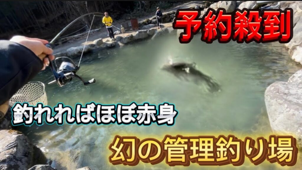 【大公開】【衝撃】赤身しか釣れない管理釣り場？【管理釣り場】【エリアトラウト】 #エリアトラウト#ハートデザイン#衝撃#釣り#fishing#必見#fishing#fishingvideo