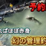 【大公開】【衝撃】赤身しか釣れない管理釣り場？【管理釣り場】【エリアトラウト】 #エリアトラウト#ハートデザイン#衝撃#釣り#fishing#必見#fishing#fishingvideo