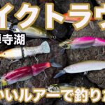 レイクトラウトをビッグベイトで釣ってみたい！in 中禅寺湖