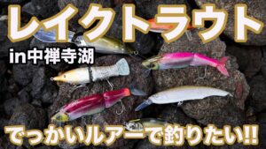 レイクトラウトをビッグベイトで釣ってみたい！in 中禅寺湖