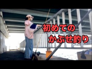 【かぶせ釣り】初めてのかぶせ釣り✨in浜名湖 #黒鯛#コブダイ