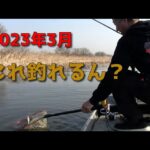 【バス釣りin印旛沼】今後二度と釣れないであろう外道がルアーを喰ってきた！