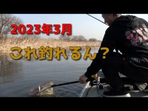 【バス釣りin印旛沼】今後二度と釣れないであろう外道がルアーを喰ってきた!