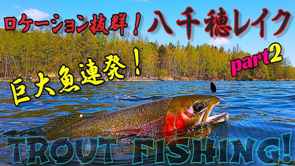 【エリアトラウト】ロケーション抜群！大物しかいない最高の釣り場！八千穂レイクpart２