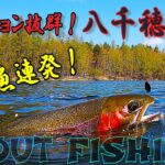 【エリアトラウト】ロケーション抜群！大物しかいない最高の釣り場！八千穂レイクpart２