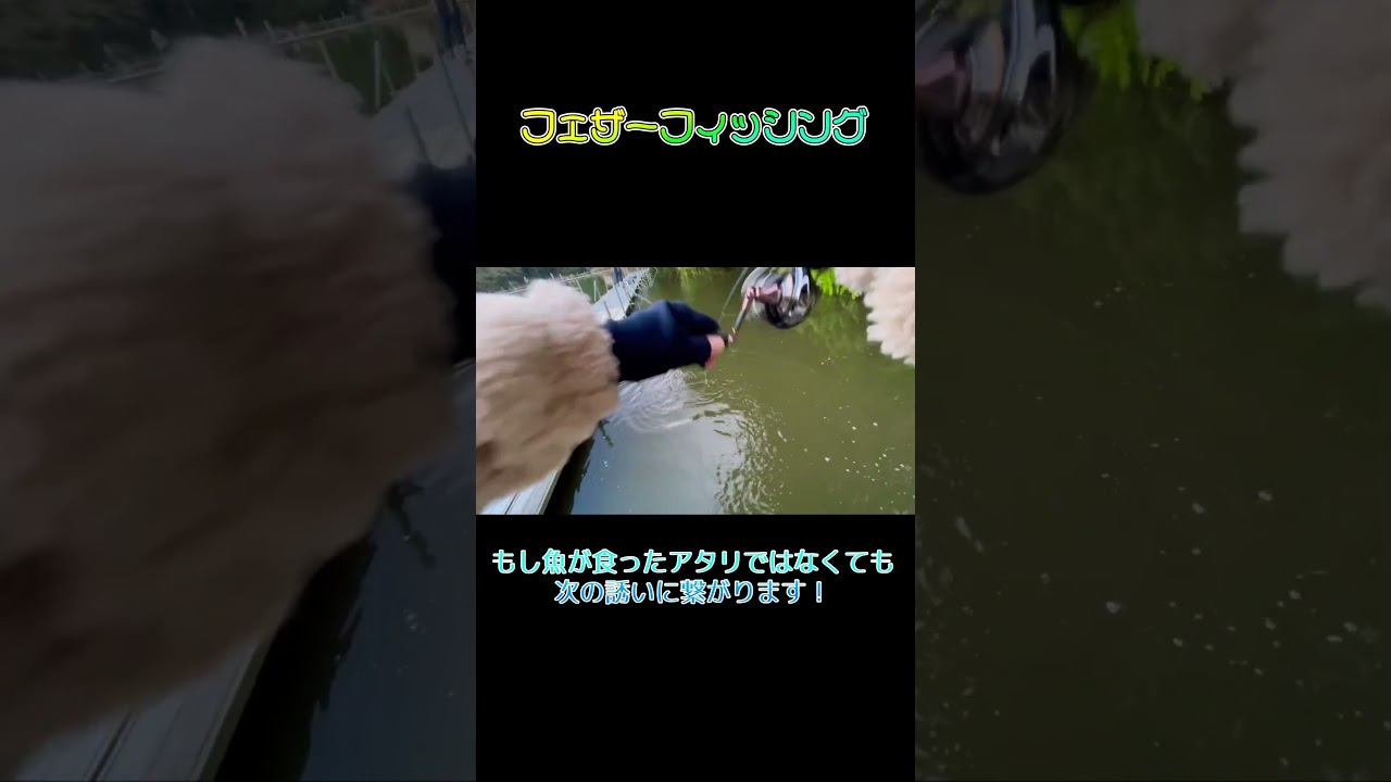 管理釣り場に新しい風を吹かせるルアーはこれだ！【エリアトラウト･管理釣り場･フェザー】 #エリアトラウト #ハートデザイン #管理釣り場 #フェザー #釣り#shorts