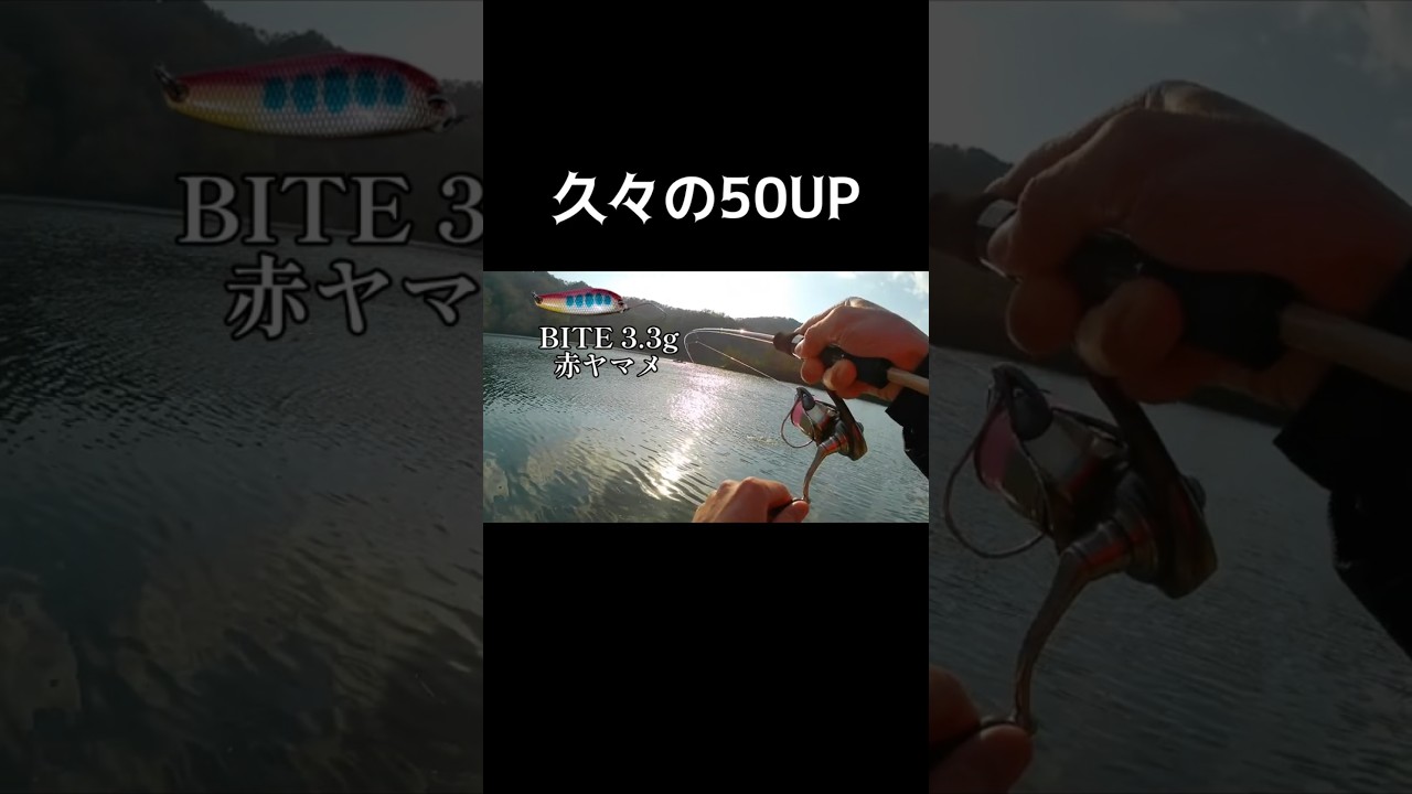 【管理釣り場】久しぶりのサイズ　#フィッシングレイクたかみや #フィッシングレイク高宮 #エリアトラウト #管釣り #忠さんのスプーン #ニジマス #troutfishing