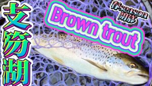 【支笏湖釣り】春の支笏湖 念願のシコブラ