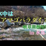 【渓流釣り】初めての谷チャレンジ！岐阜県根尾川