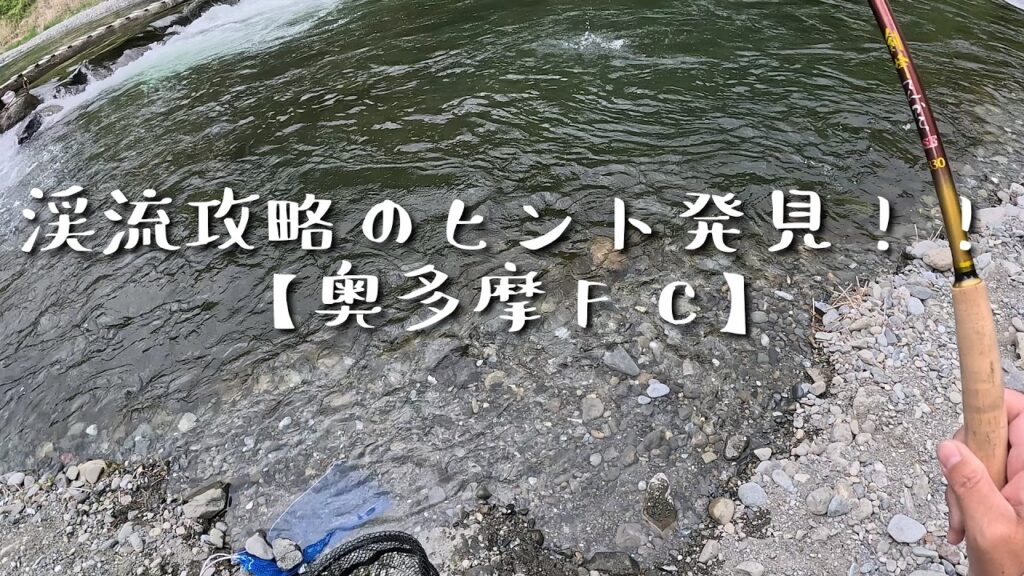 【テンカラ釣り】手応えアリ！？奥多摩フィッシングセンター初挑戦で見えた「奥多摩渓流攻略のヒント」