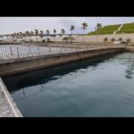 最速情報📢釣れなくてもいいんです楽しめれば。【浜名湖釣り】🎣