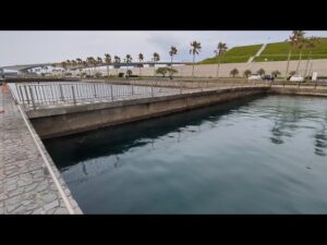 最速情報📢釣れなくてもいいんです楽しめれば。【浜名湖釣り】🎣