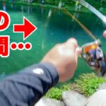 管理釣り場で大物サーモンが掛かった直後に悲劇が...