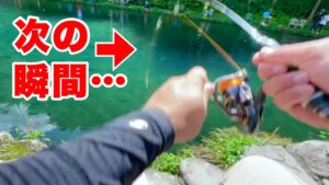 管理釣り場で大物サーモンが掛かった直後に悲劇が...
