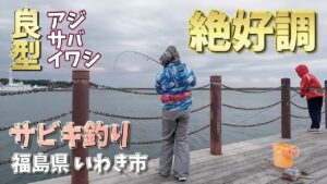 【福島県いわき市小名浜港】サビキ釣りでデカサバ爆釣!【アクアマリンふくしま】