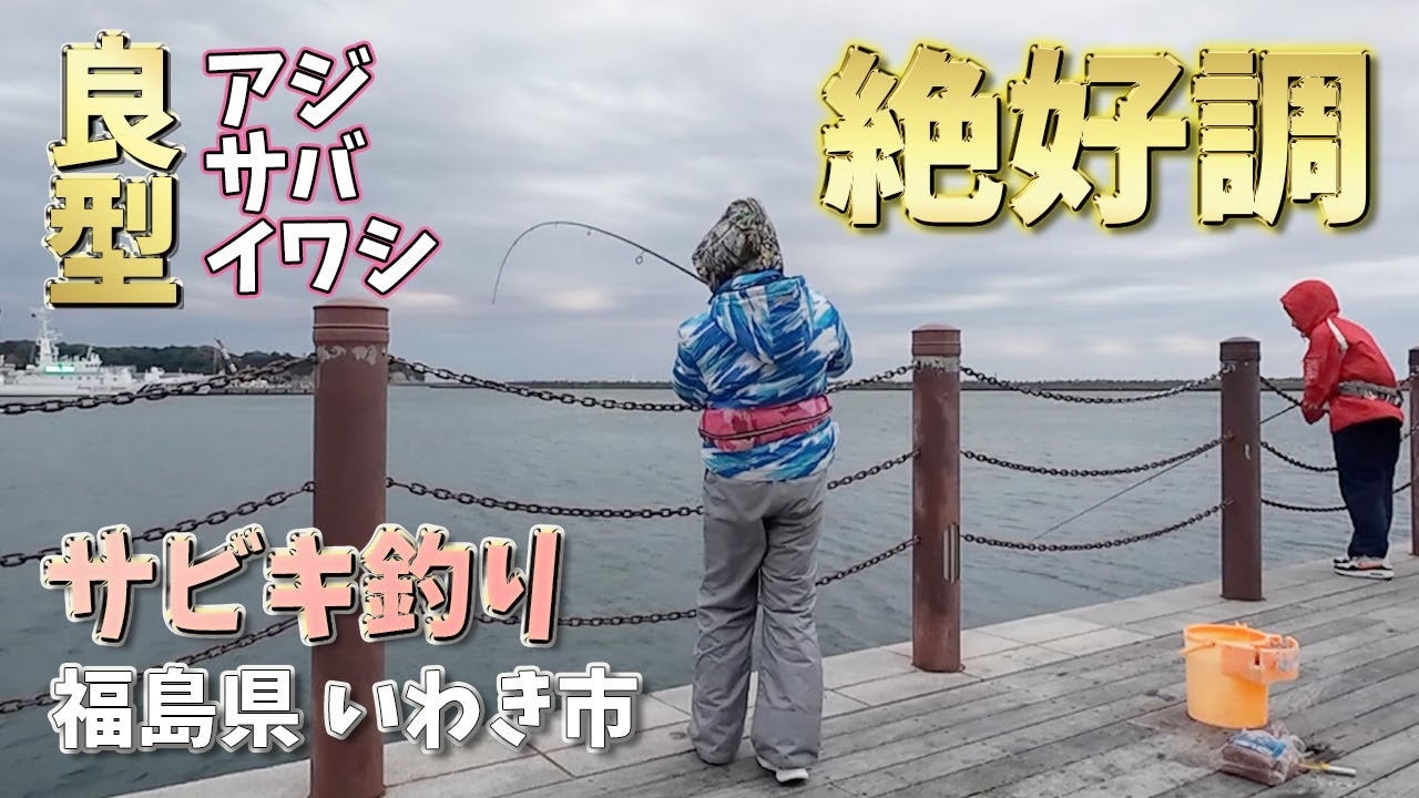 【福島県いわき市小名浜港】サビキ釣りでデカサバ爆釣!【アクアマリンふくしま】