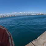 釣り日和の混んでる浜名湖へ釣りに行ってきました。