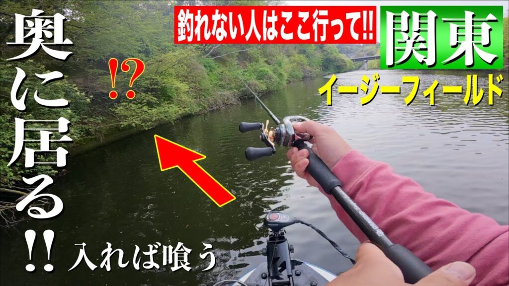 関東で未だにたくさん魚が釣れる湖で１日釣りをした結果。