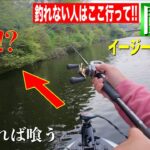 関東で未だにたくさん魚が釣れる湖で１日釣りをした結果。