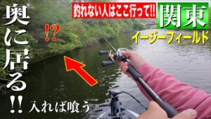 関東で未だにたくさん魚が釣れる湖で１日釣りをした結果。