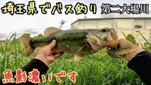 第二大場川でバス釣り(埼玉県)