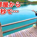 部屋から釣りできる宿で化け物釣れた