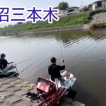 びん沼三本木でへらぶな釣り！今期初両団子！宙でも楽しめる放水路になった！型もよし！