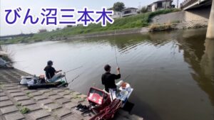 びん沼三本木でへらぶな釣り！今期初両団子！宙でも楽しめる放水路になった！型もよし！