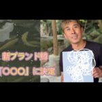 【管理釣り場・八丁堀】誕生！丁鱒という名のブランド鱒！！