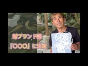 【管理釣り場・八丁堀】誕生！丁鱒という名のブランド鱒！！