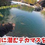 【エリアトラウト】ナリの大物釣り日記【管理釣り場･釣り･ガリバーフィッシングガーデン】